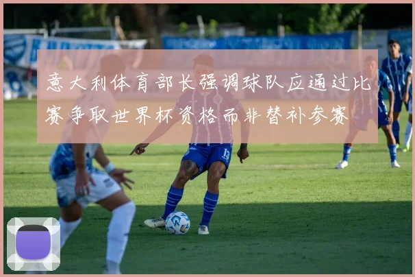 意大利体育部长强调球队应通过比赛争取世界杯资格而非替补参赛