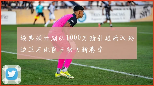 埃弗顿计划以1000万镑引进西汉姆边卫万比萨卡助力新赛季