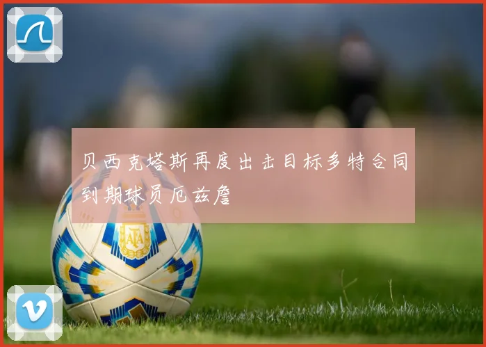 贝西克塔斯再度出击目标多特合同到期球员厄兹詹