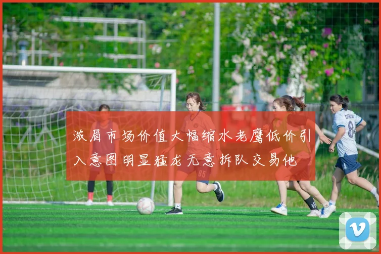 浓眉市场价值大幅缩水老鹰低价引入意图明显猛龙无意拆队交易他